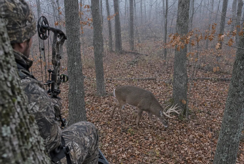 A bowhunter in a tree stand as a whitetail buck walks in underneath him.